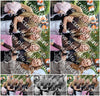 Evenement foto: 3050
