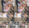 Evenement foto: 3052