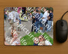 Evenement foto: 3052