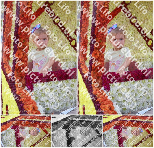 Evenement foto: 3053