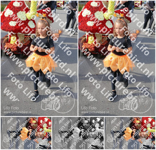 Evenement foto: 3054