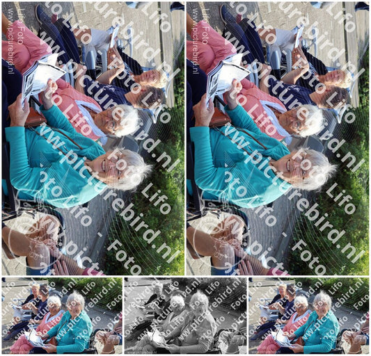 Evenement foto: 3054