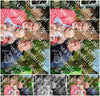 Evenement foto: 3057
