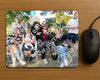 Evenement foto: 3057