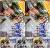 Evenement foto: 3060