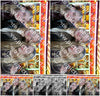 Evenement foto: 3060