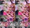 Evenement foto: 33