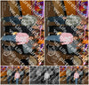 Evenement foto: serie 116-165