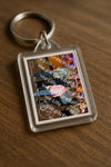 Evenement foto: serie 116-165