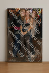 Evenement foto: serie 116-165