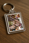 Evenement foto: serie 116-165