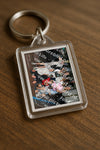 Evenement foto: serie 116-165