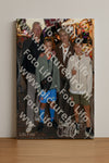 Evenement foto: serie 116-165