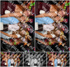 Evenement foto: serie 116-165