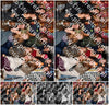 Evenement foto: serie 116-165