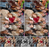 Evenement foto: serie 116-165