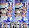 Evenement foto: 1450