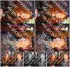 Evenement foto: 1450