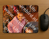 Evenement foto: 1451