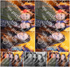 Evenement foto: 1452