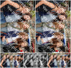 Evenement foto: 1558