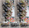 Evenement foto: 1447  B
