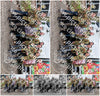Evenement foto: 1447