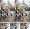 Evenement foto: 1447