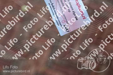 Evenement foto: 1447