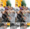 Evenement foto: 1447