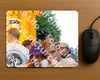 Evenement foto: 1447