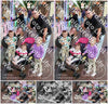 Evenement foto: 1447