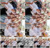 Evenement foto: 1510