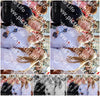 Evenement foto: 1523