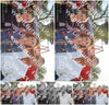 Evenement foto: 1531