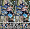 Evenement foto: 1531