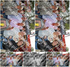 Evenement foto: 1531