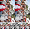 Evenement foto: 1533