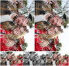 Evenement foto: 1533