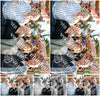 Evenement foto: 1543