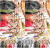 Evenement foto: 1544