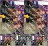 Evenement foto: 1469