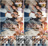 Evenement foto: 1473