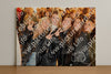 Evenement foto: 1476