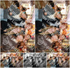 Evenement foto: 1479