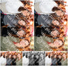 Evenement foto: 1480