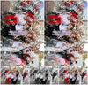 Evenement foto: 1484