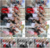 Evenement foto: 1484
