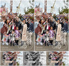 Evenement foto: 71