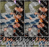 Evenement foto: 1495